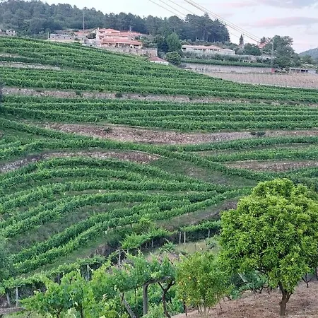 Quinta Dos Castros Douro Baião