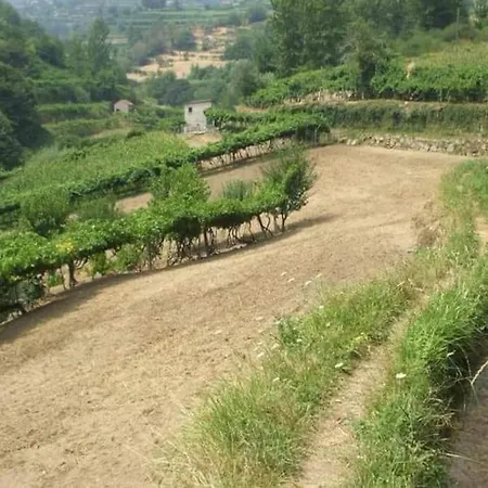 Quinta Dos Castros Douro Dom wakacyjny Baião