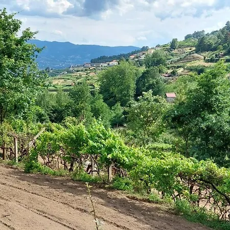 Semesterbostad Quinta Dos Castros Douro *